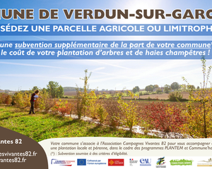 Verdun-sur-Garonne, aide financière pour la plantation d'arbres et de haies champêtres, Association Campagnes Vivantes 82