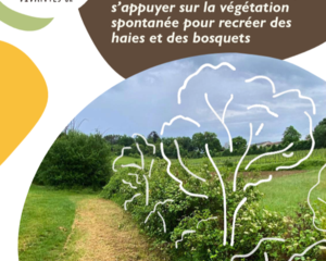 Guide Régénération Naturelle Assistée, Association Campagnes Vivantes 82