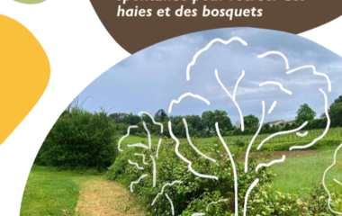 Guide Régénération Naturelle Assistée, Association Campagnes Vivantes 82