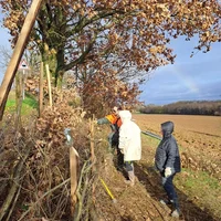 Atelier Plessage de haie par l'Association Campagnes Vivantes 82