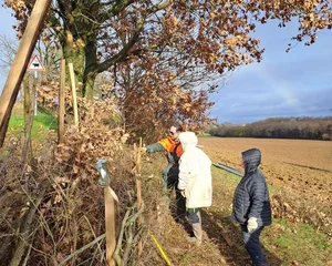 Atelier Plessage de haie par l'Association Campagnes Vivantes 82