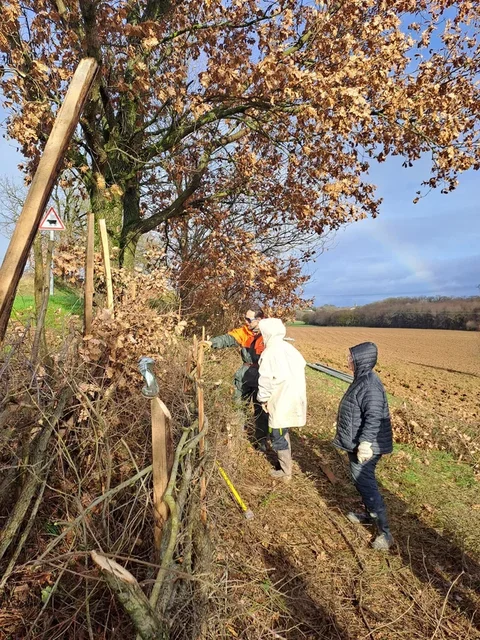 Atelier Plessage de haie par l'Association Campagnes Vivantes 82