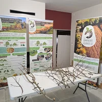 Atelier Greffe par l'Association Campagnes Vivantes 82