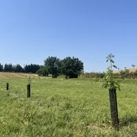 Accompagnement à la plantation d'arbres et de haies champêtres, Association Campagnes Vivantes 82