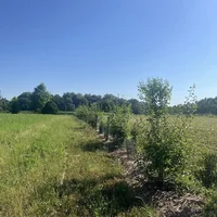 Accompagnement à la plantation d'arbres et de haies champêtres, Association Campagnes Vivantes 82