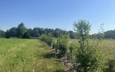 Accompagnement à la plantation d'arbres et de haies champêtres, Association Campagnes Vivantes 82