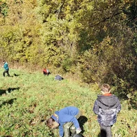 Récolte de glands de chênes avec l'Association Campagnes Vivantes 82