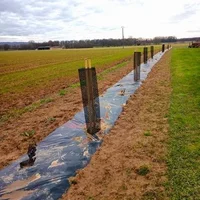 Bruniquel : une haie en devenir. Photo DDM, Catherine Peter