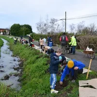 Plantation avec les élèves de Saint-Porquier. Photo DDM