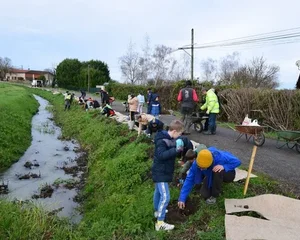 Plantation avec les élèves de Saint-Porquier. Photo DDM