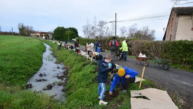 Plantation avec les élèves de Saint-Porquier. Photo DDM