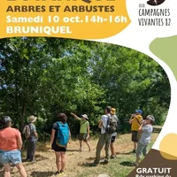 Initaition Botanique, Bruniquel, Association Campagnes Vivantes 82