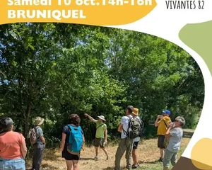 Initaition Botanique, Bruniquel, Association Campagnes Vivantes 82