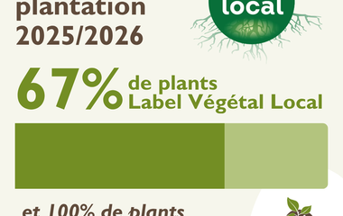 Végétal Local, plantation d'arbres et de haies champêtres, Association Campagnes Vivantes 82, Tarn-et-Garonne