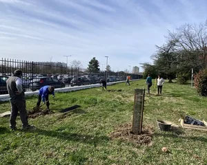 Plantation au Lycée Bourdelle avec l'Association Campagnes Vivantes 82