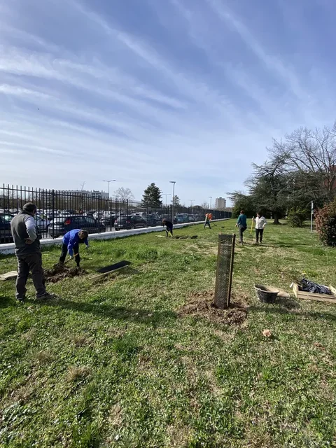 Plantation au Lycée Bourdelle avec l'Association Campagnes Vivantes 82