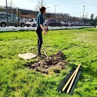 Plantation au Lycée Bourdelle avec l'Association Campagnes Vivantes 82