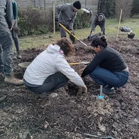 Plantation au Lycée Bourdelle avec l'Association Campagnes Vivantes 82
