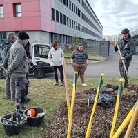 Plantation au Lycée Bourdelle avec l'Association Campagnes Vivantes 82