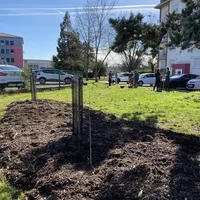 Plantation au Lycée Bourdelle avec l'Association Campagnes Vivantes 82
