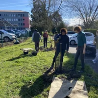 Plantation au Lycée Bourdelle avec l'Association Campagnes Vivantes 82