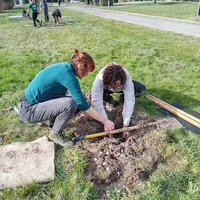 Plantation au Lycée Bourdelle avec l'Association Campagnes Vivantes 82