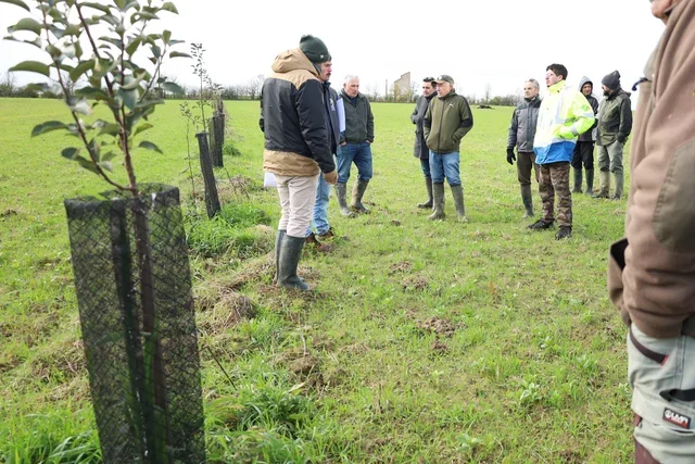 La projection du documentaire "Bocage, nos haies communes" par l'association Campagnes Vivantes 82
