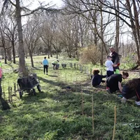 Plantation d'une haie champêtre, Parc de Clairefont, Photo : Ville de Castelsarrasin