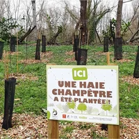 Plantation d'une haie champêtre, Parc de Clairefont, Photo : Ville de Castelsarrasin