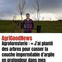 Article Réussir Agroforesterie Tarn-et-Garonne, Adrien Collet et Association Campagnes Vivantes 82