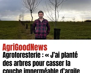 Article Réussir Agroforesterie Tarn-et-Garonne, Adrien Collet et Association Campagnes Vivantes 82