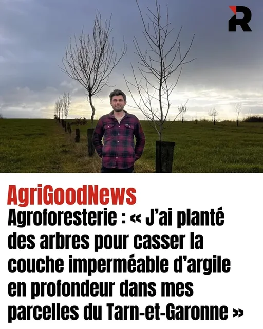 Article Réussir Agroforesterie Tarn-et-Garonne, Adrien Collet et Association Campagnes Vivantes 82