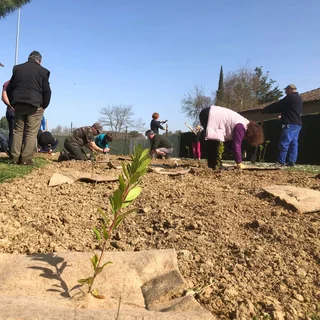 Atelier de plantation : l'arbre et de la haie champêtres en Tarn et Garonne