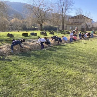 Atelier pédagogique de sensibilisation de l'arbre et de la haie champêtres en Tarn et Garonne