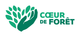 Cœur de Forêt
