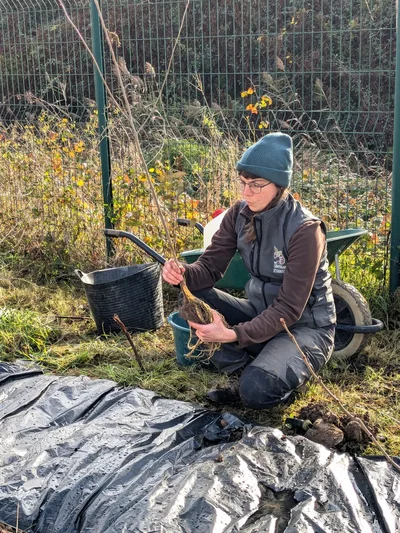 Plantation d’arbres avec le programme PLANTEM et l'association Campagnes Vivantes 82