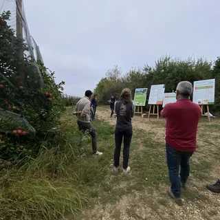 La gestion durable des haies à travers des formations et mise en relation d'acteurs locaux en Tarn et Garonne