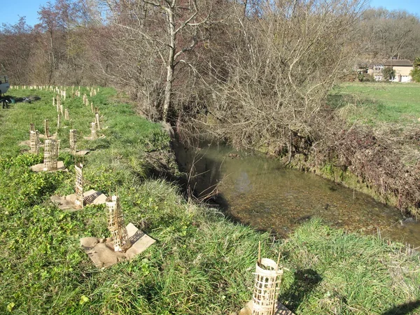 Le programme EauzHaie pour une meilleure gestion de l'eau en Tarn et Garonne