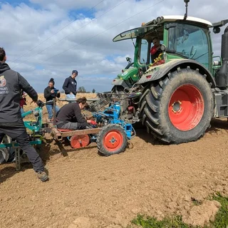 Plantation d'arbre et de la haie champêtres en Tarn et Garonne
